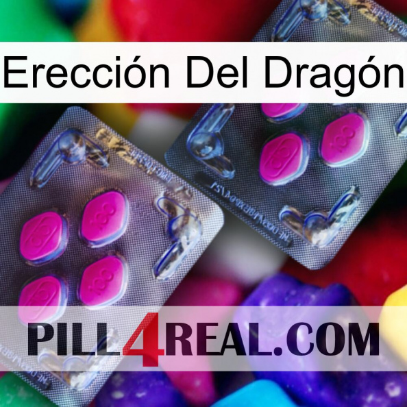 Erección Del Dragón 01.jpg